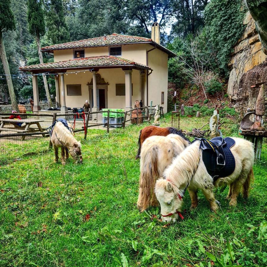 Agriturismo Fattoria Di Maiano Villa Fiesole Exteriör bild