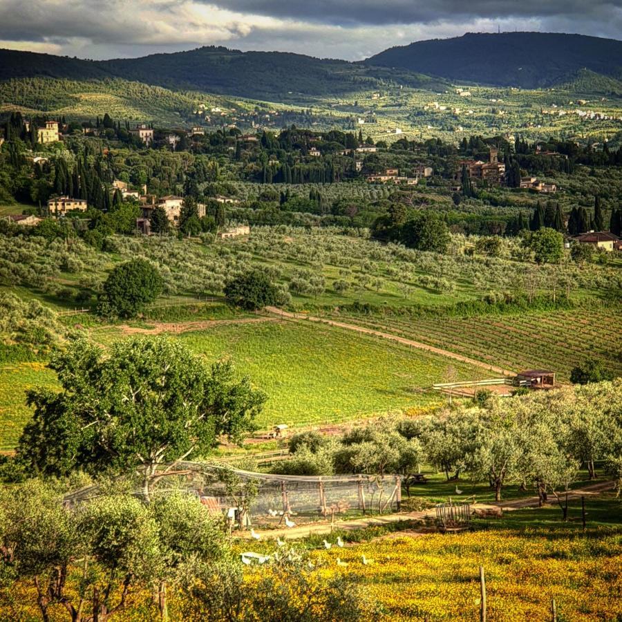 Agriturismo Fattoria Di Maiano Fiesole Exteriör bild