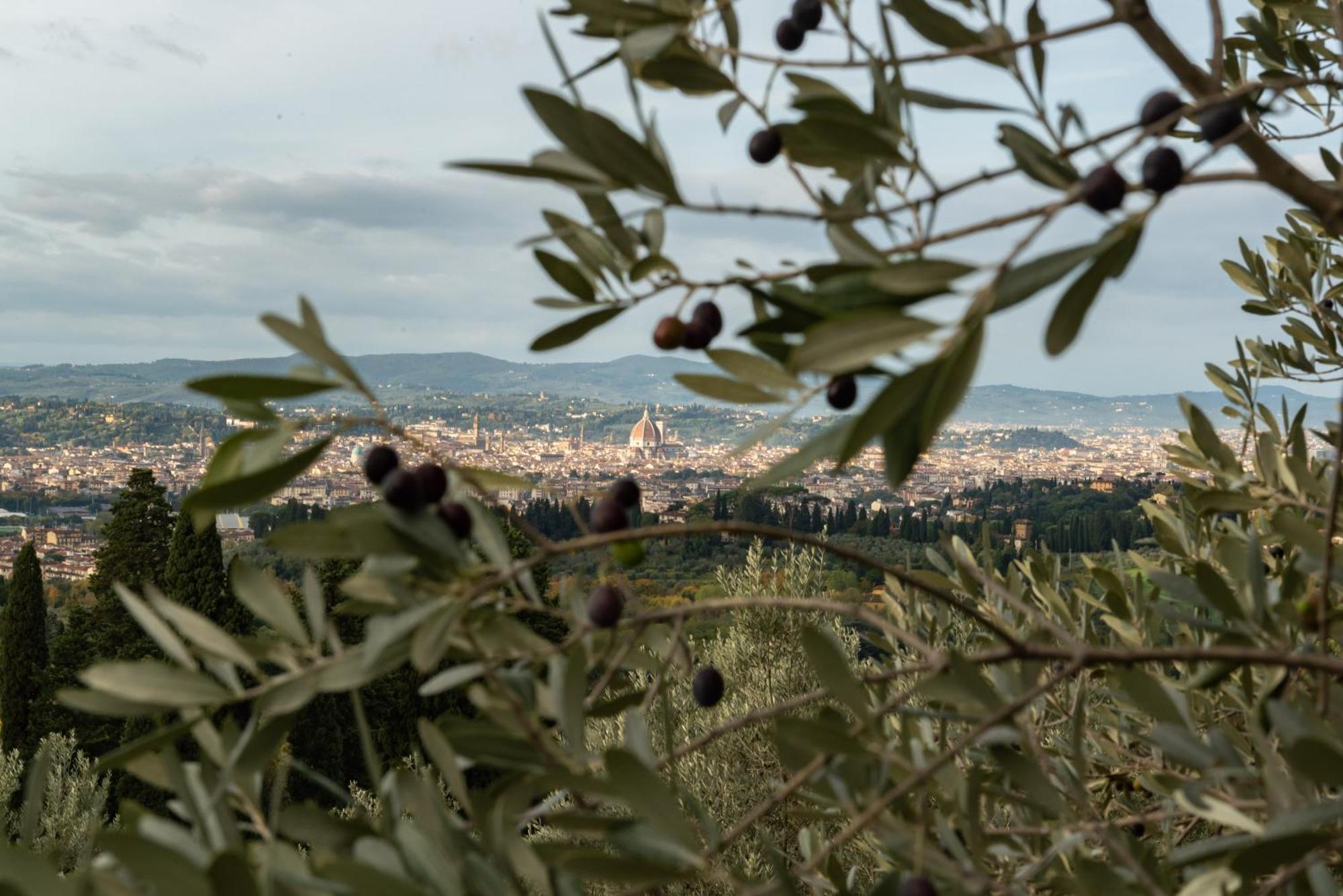 Agriturismo Fattoria Di Maiano Fiesole Exteriör bild
