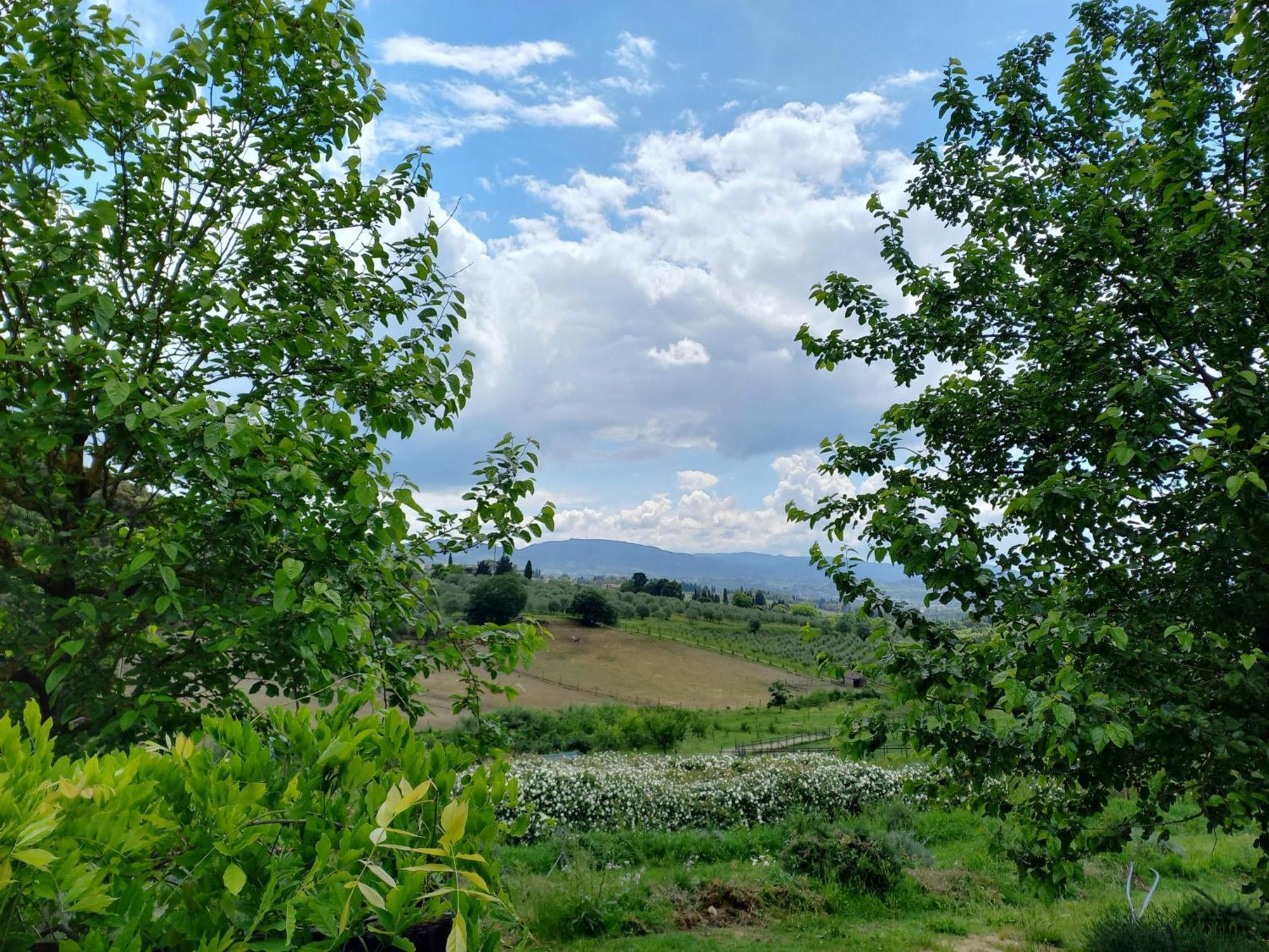 Agriturismo Fattoria Di Maiano Fiesole Exteriör bild